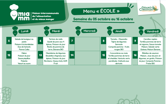Capture d'écran 2026-09-11 152142.png