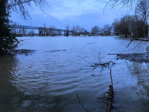 IMG_1157.JPEG IMG_1157.JPEG