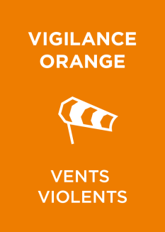 Visuels_Vent_VO_570X800.png